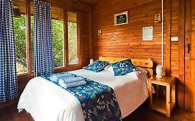Hotel El Abrazo Del Arbol